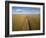 High angle view of combine harvesting corn crop, Marion County, Illinois, USA-Panoramic Images-Framed Photographic Print