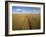 High angle view of combine harvesting corn crop, Marion County, Illinois, USA-Panoramic Images-Framed Photographic Print