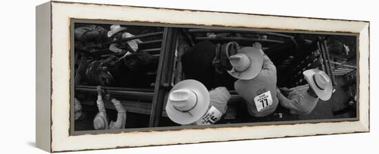 High Angle View of Cowboys with Horses at Rodeo, Wichita Falls, Texas, USA-null-Framed Stretched Canvas