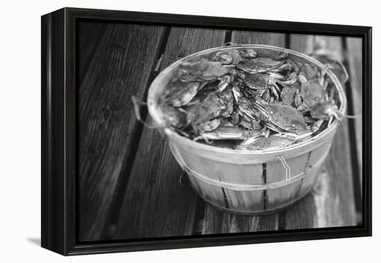 High angle view of crabs in a basket, Maryland, USA-Jerry Driendl-Framed Premier Image Canvas