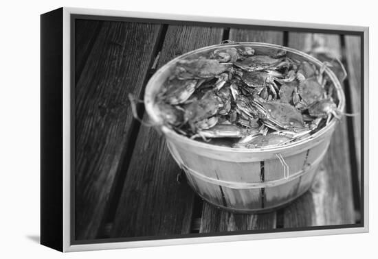 High angle view of crabs in a basket, Maryland, USA-Jerry Driendl-Framed Premier Image Canvas