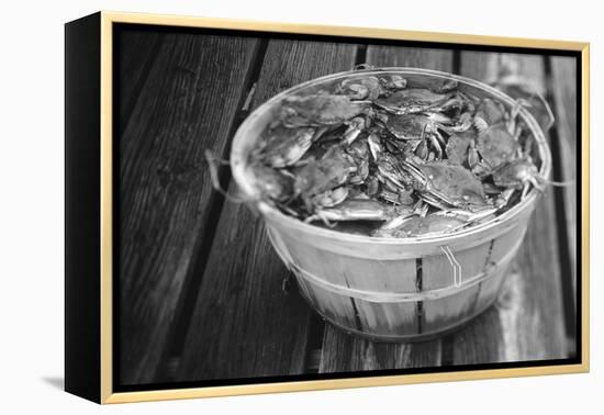 High angle view of crabs in a basket, Maryland, USA-Jerry Driendl-Framed Premier Image Canvas