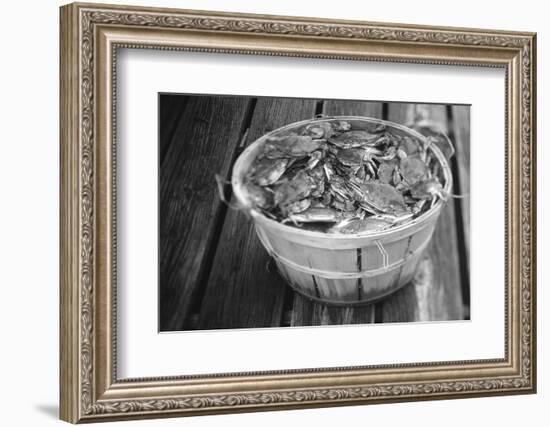 High angle view of crabs in a basket, Maryland, USA-Jerry Driendl-Framed Photographic Print