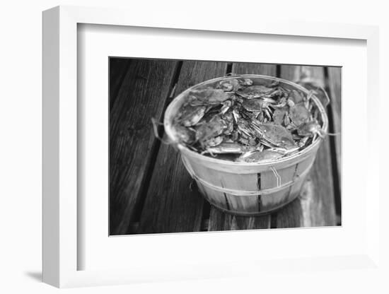 High angle view of crabs in a basket, Maryland, USA-Jerry Driendl-Framed Photographic Print