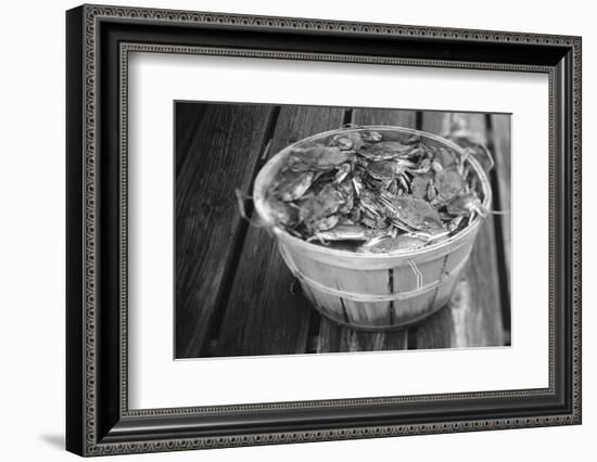 High angle view of crabs in a basket, Maryland, USA-Jerry Driendl-Framed Photographic Print