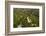 High angle view of pagoda near Maha Bodhi Ta Htaung Standing Buddha, Monywa, Myanmar (Burma)-Jan Miracky-Framed Photographic Print