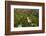 High angle view of pagoda near Maha Bodhi Ta Htaung Standing Buddha, Monywa, Myanmar (Burma)-Jan Miracky-Framed Photographic Print