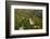 High angle view of pagoda near Maha Bodhi Ta Htaung Standing Buddha, Monywa, Myanmar (Burma)-Jan Miracky-Framed Photographic Print