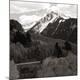 Photographic Print