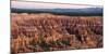 High Angle View of Rock Formations, Bryce Canyon, Bryce Canyon National Park, Utah, USA-null-Mounted Photographic Print