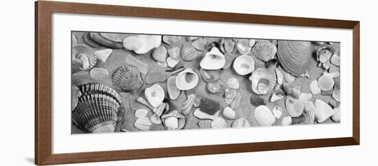 High Angle View of Seashells-null-Framed Photographic Print