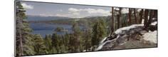 Photographic Print