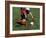 High Angle View of Two People Playing Soccer-null-Framed Photographic Print