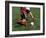 High Angle View of Two People Playing Soccer-null-Framed Photographic Print