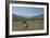 High Atlas, Morocco-Vivienne Sharp-Framed Photographic Print