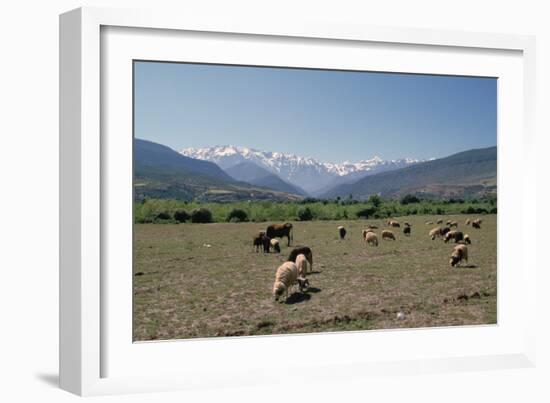 High Atlas, Morocco-Vivienne Sharp-Framed Photographic Print