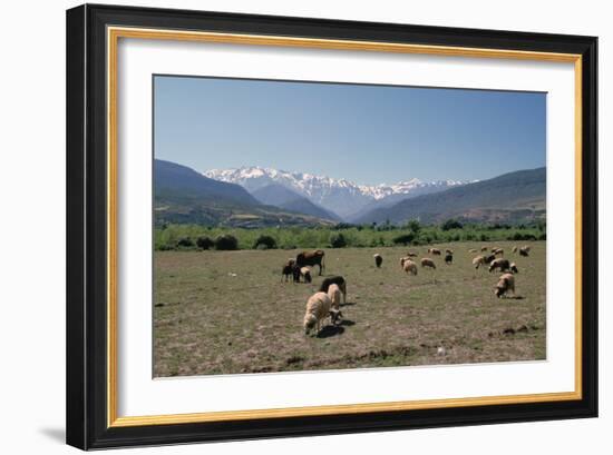 High Atlas, Morocco-Vivienne Sharp-Framed Photographic Print