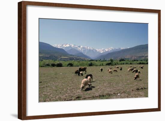 High Atlas, Morocco-Vivienne Sharp-Framed Photographic Print