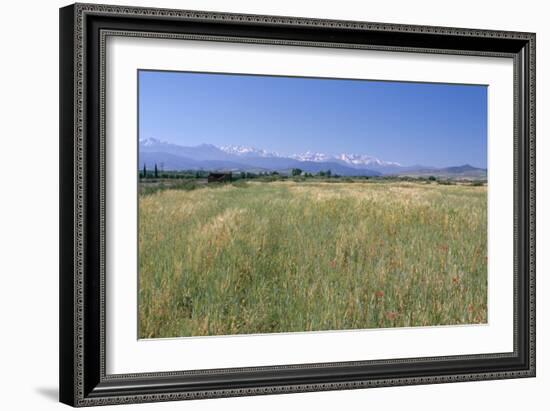 High Atlas Mountains from Near Marakesh, Morocco-Vivienne Sharp-Framed Photographic Print