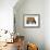 High Chair-Jan Panico-Framed Premium Giclee Print displayed on a wall
