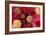 High Cholesterol Levels, Artwork-David Mack-Framed Photographic Print