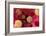 High Cholesterol Levels, Artwork-David Mack-Framed Photographic Print