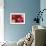 High Cholesterol Levels, Artwork-David Mack-Framed Photographic Print displayed on a wall