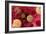 High Cholesterol Levels, Artwork-David Mack-Framed Photographic Print