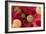 High Cholesterol Levels, Artwork-David Mack-Framed Photographic Print