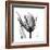 High Contrast Tulip-Albert Koetsier-Framed Premium Giclee Print