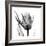 High Contrast Tulip-Albert Koetsier-Framed Premium Giclee Print