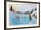 High Country Chill-Noel Daggett-Framed Limited Edition