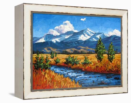 High Country Creek, Colorado-Patty Baker-Framed Stretched Canvas