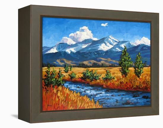 High Country Creek, Colorado-Patty Baker-Framed Stretched Canvas