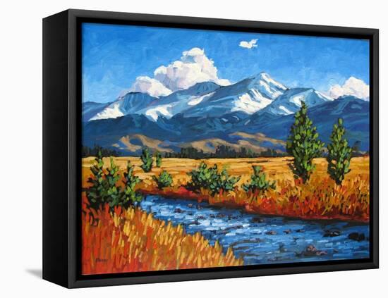 High Country Creek, Colorado-Patty Baker-Framed Stretched Canvas