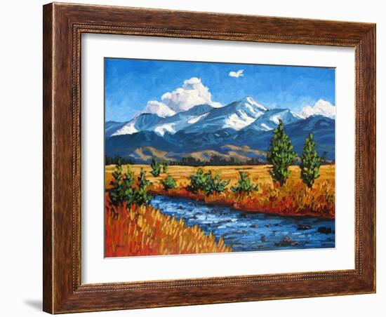 High Country Creek, Colorado-Patty Baker-Framed Art Print