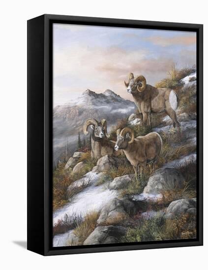 High Country Kings-Trevor V. Swanson-Framed Premier Image Canvas