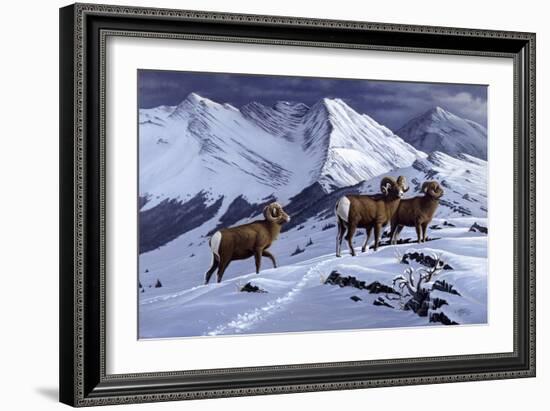 High Country Rams-Wilhelm Goebel-Framed Giclee Print