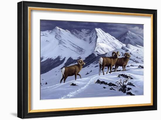 High Country Rams-Wilhelm Goebel-Framed Giclee Print