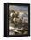 High Country Trio-Trevor V. Swanson-Framed Premier Image Canvas