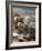 High Country Trio-Trevor V. Swanson-Framed Giclee Print