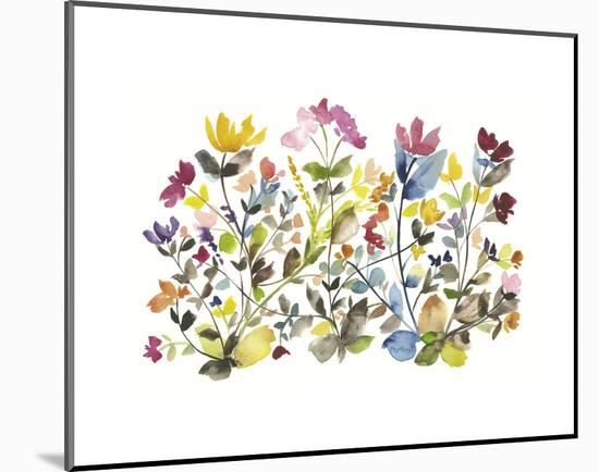 High Country Wildflowers N. 3-Kiana Mosley-Mounted Art Print