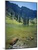 High Creek Lake and Bear River Range, Mount Naomi Wilderness, Wasatch-Cache National Forest, Utah,-Scott T^ Smith-Mounted Photographic Print