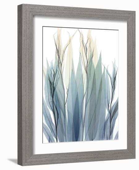 High Degree-Albert Koetsier-Framed Photographic Print