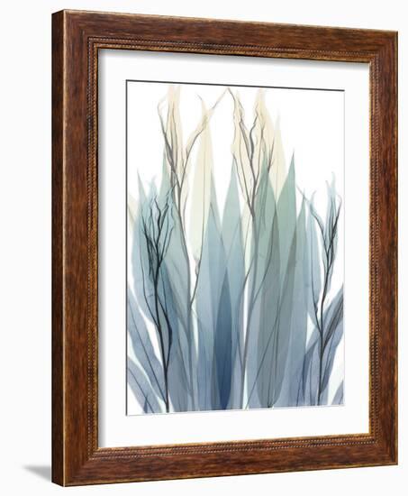 High Degree-Albert Koetsier-Framed Photographic Print