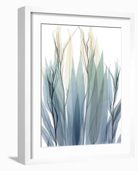 High Degree-Albert Koetsier-Framed Photographic Print