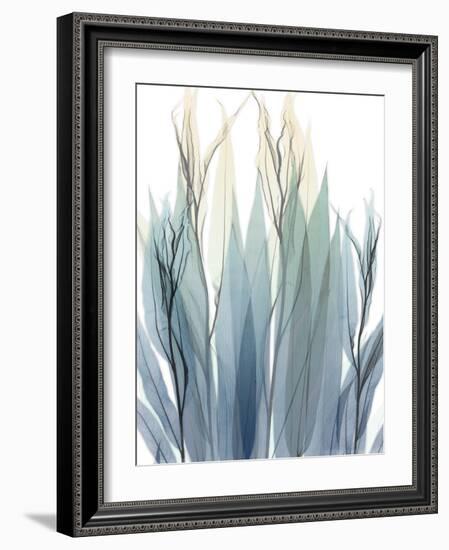 High Degree-Albert Koetsier-Framed Photographic Print