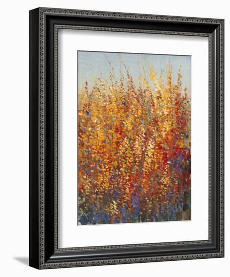 High Desert Blossoms I-Tim O'toole-Framed Art Print