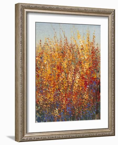 High Desert Blossoms I-Tim O'toole-Framed Art Print