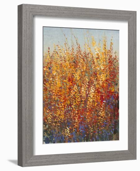 High Desert Blossoms I-Tim O'toole-Framed Art Print